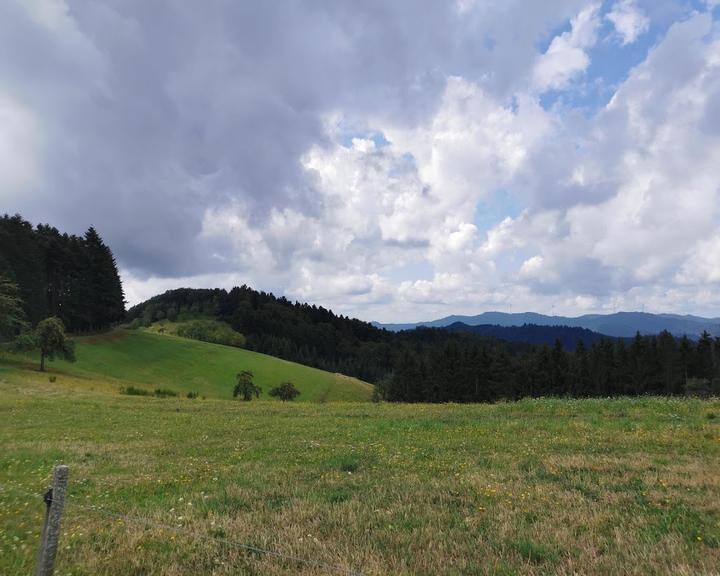 Vogt Auf Muhlstein Gaststaette