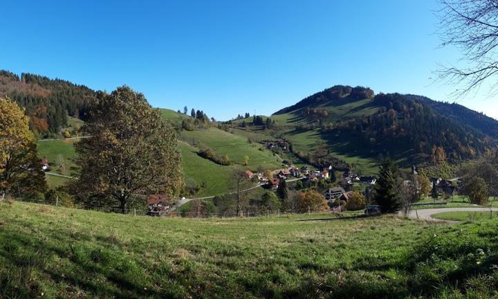 Blumencafé Landgasthof Rosenstuebchen